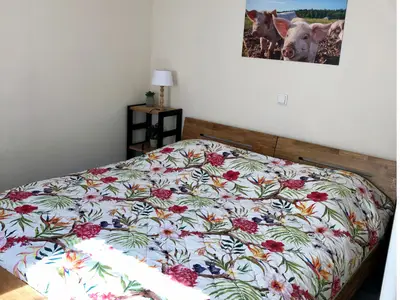 Ferienwohnung für 4 Personen (25 m²) in Merzen 1/10