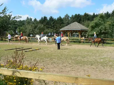 Ferienwohnung für 6 Personen (32 m²) in Merzen 8/10