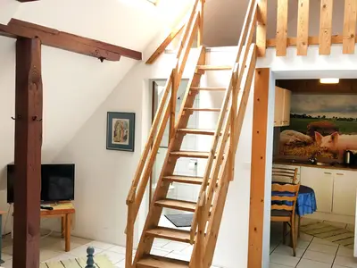 Ferienwohnung für 7 Personen (40 m²) in Merzen 5/10