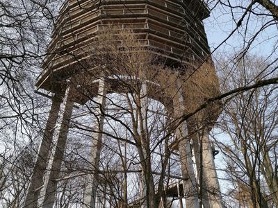 Baumwipfelpfad an der Cloef