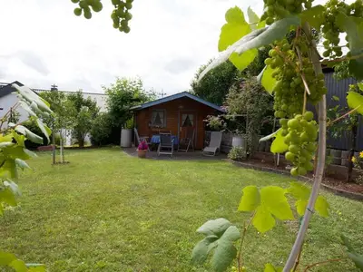 Ferienwohnung für 4 Personen (60 m²) in Merzig 2/10