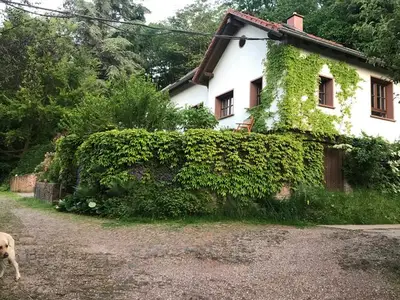 Ferienwohnung für 2 Personen (60 m²) in Merzig 1/10