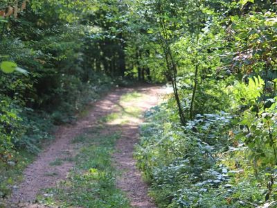 Waldweg