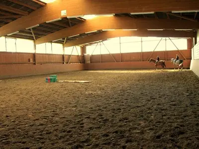 Ferienwohnung für 5 Personen (60 m²) in Merzig 9/10