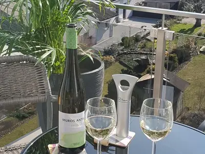 Ferienwohnung für 4 Personen (62 m²) in Merzig 9/10