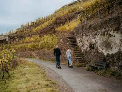 Ferienwohnung für 6 Personen (54 m²) in Merzig 7/10