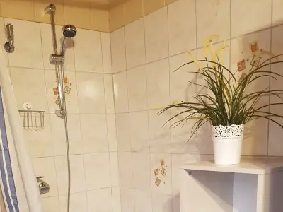 Ferienwohnung für 4 Personen (44 m²) in Meschede 2/10
