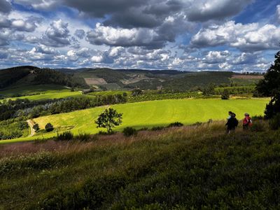 Landschaft