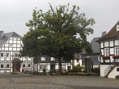 Ferienwohnung für 4 Personen (40 m²) in Meschede 7/10