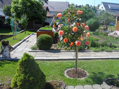 unser Garten