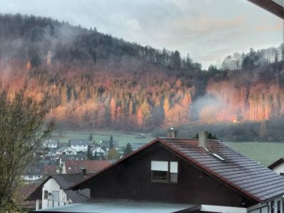 Herbstnebel über Oberdigisheim