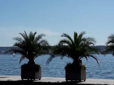 Bodensee