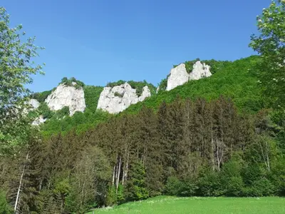 Landschaft