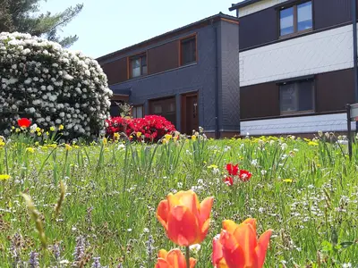 Ferienwohnung für 3 Personen (50 m²) in Meuselbach-Schwarzmühle 1/10