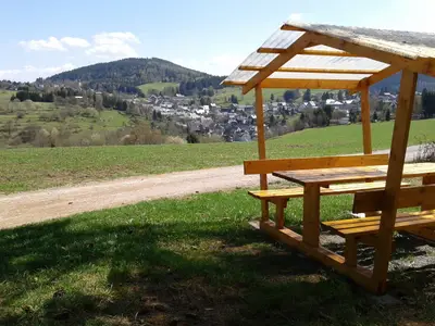 Ferienwohnung für 3 Personen (50 m²) in Meuselbach-Schwarzmühle 10/10