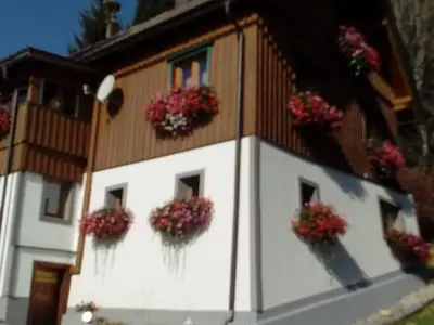 Bauernhaus Süd-Ansicht