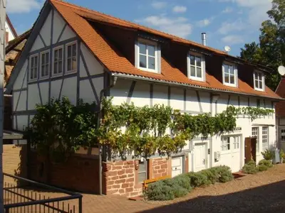 Ferienwohnung für 4 Personen (75 m²) in Michelstadt 1/10