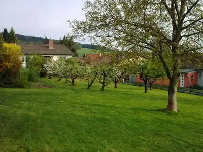 Ferienwohnung für 6 Personen (62 m²) in Michelstadt 4/10
