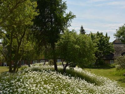 Ferienwohnung für 4 Personen (60 m²) in Middelhagen 7/10