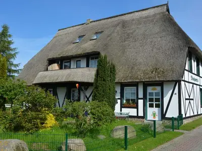 Ferienwohnung für 4 Personen (55 m²) in Middelhagen 9/10
