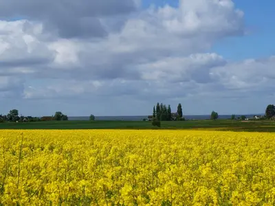 Ferienwohnung für 3 Personen (58 m²) in Middelhagen 8/10