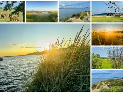 Landschaft