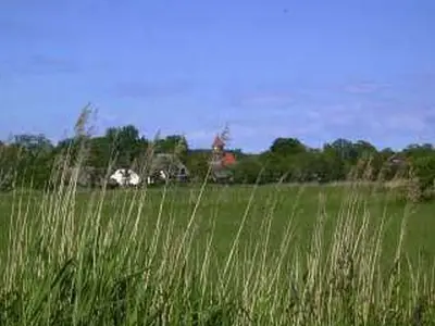 Ferienwohnung für 3 Personen (35 m²) in Middelhagen 5/10