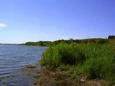 Ferienwohnung für 3 Personen (35 m²) in Middelhagen 6/10