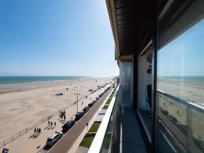 ViewSummer