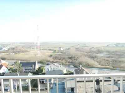 ViewSummer