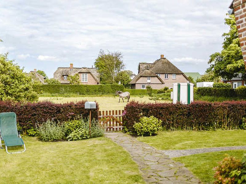 23365455-Ferienwohnung-4-Midlum (Schleswig-Holstein)-800x600-2