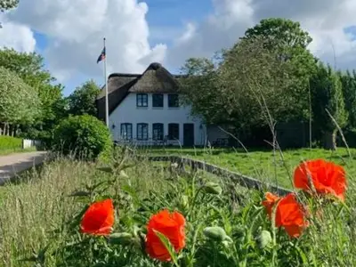 Ferienwohnung für 5 Personen (126 m²) in Midlum (Schleswig-Holstein) 3/10