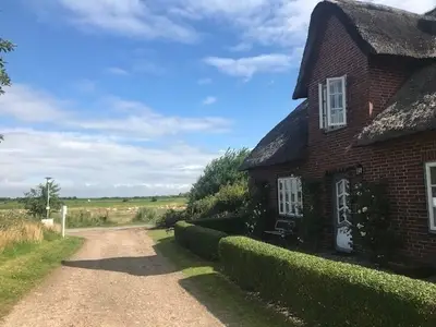 Ferienwohnung für 6 Personen (70 m²) in Midlum 1/10