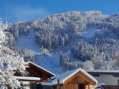 Zuber_Winter