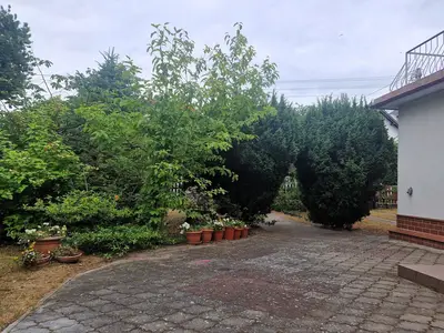 GardenSummer