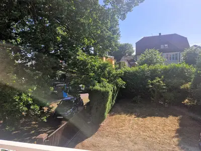 GardenSummer