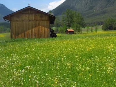 Ferienwohnung für 5 Personen (90 m²) in Mieming 9/10