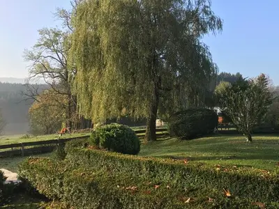 Ferienwohnung für 6 Personen (108 m²) in Miesbach 9/10