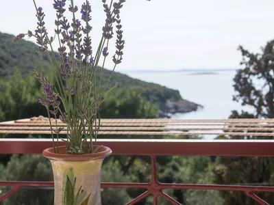 Ferienwohnung für 2 Personen (20 m²) in Miholašćica 4/10