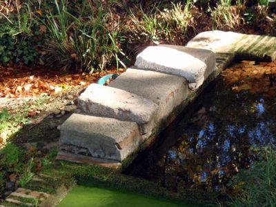 Le lavoir à l'ombre des platanes