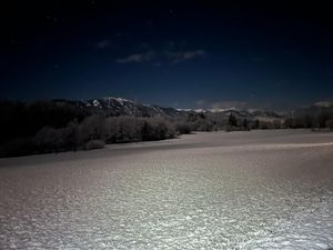 Winterlicher Abend auf der Zufahrt zum Haus