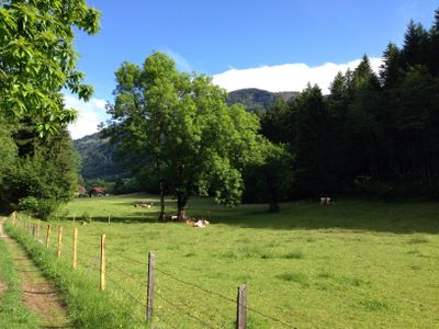 Eindruck vom Slow Trail Zwergsee