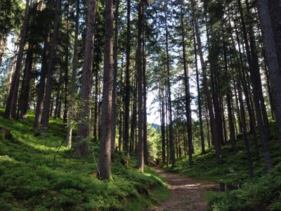 Eindruck vom Slow Trail Zwergsee