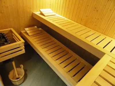 Wellness. Sauna