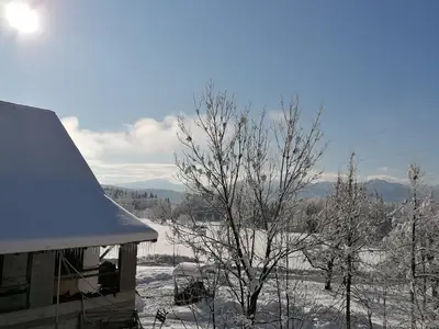 Winter 2021