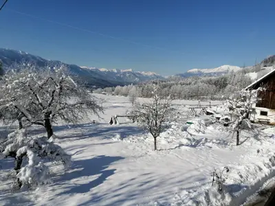 Winter 2021