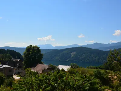 Ausblick