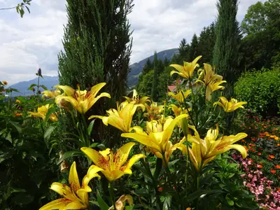 Das Blumenparadies