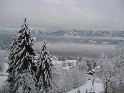 Blick auf den See im Nebel