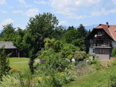 Panoramblick